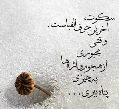 عکس نوشته چقدر صبر