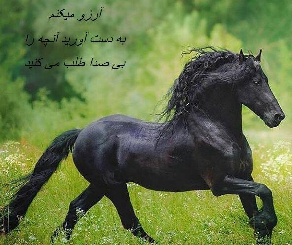 عکس نوشته ی آرزو دارم