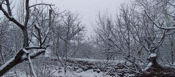 عکس های روستای چشمه کنان