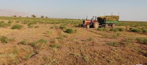 عکس های روستای چشمه کنان