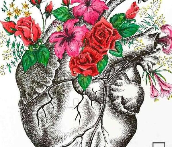 عکس نقاشی گل رز با قلب