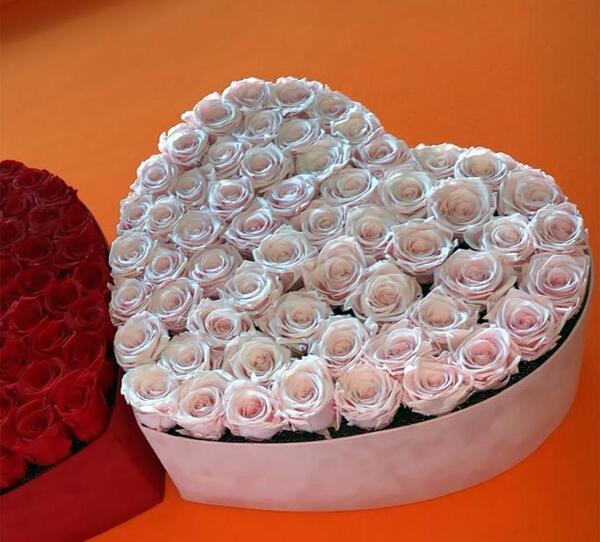 عکس نقاشی گل رز با قلب