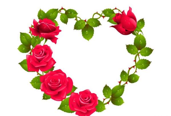 عکس نقاشی گل رز با قلب