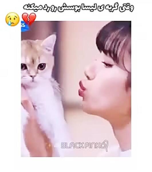 عکس لیسا با گربه