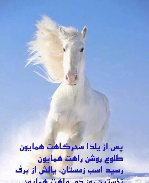 عکس نوشته سلام صبح بخیر اول زمستان