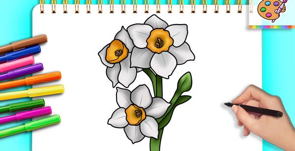 عکس نقاشی گل نرگس سیاه قلم