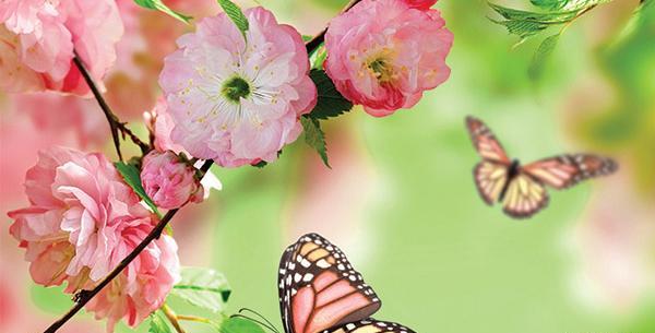 عکس از طبیعت زیبای بهار
