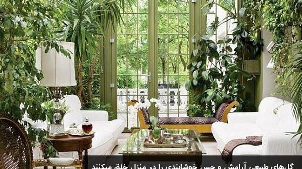 عکس ایده های جدید برای گلخانه