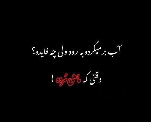 عکس نوشته جملات شاخ