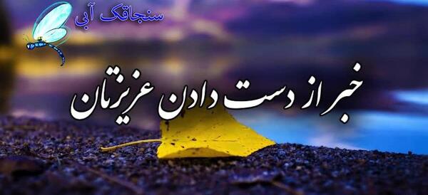 عکس تسلیت زیبا