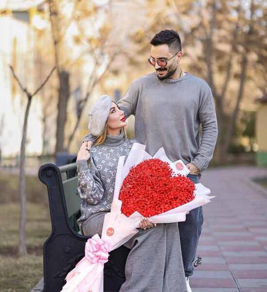 عکس آرین بهاری