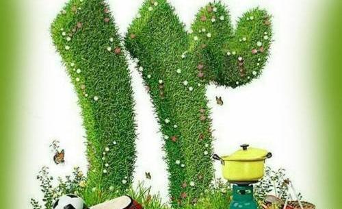 عکس سیزده بدر برای نقاشی