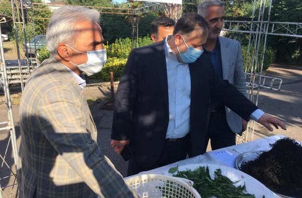 عکس روز جهانی چای