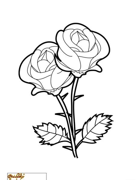 عکس نقاشی گل قرمز ساده