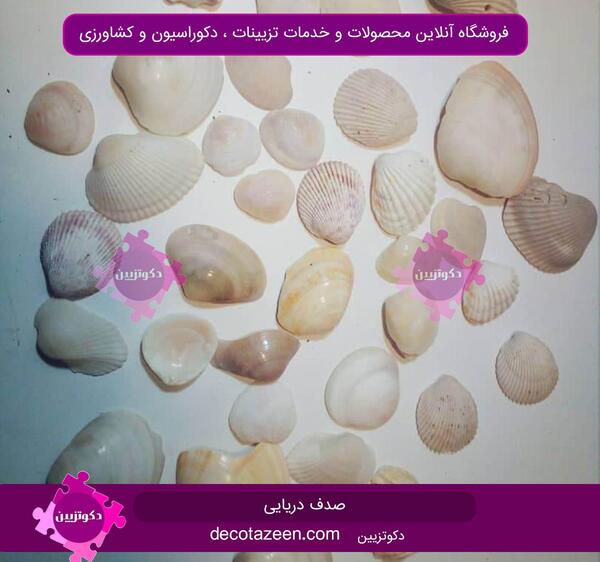 عکس صدف رنگارنگ