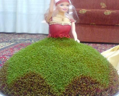 عکس سبزه قشنگ