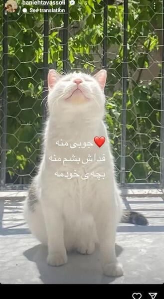 عکس استوری هانیه توسلی