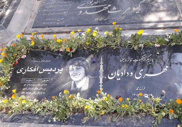 عکس جوانی پردیس افکاری