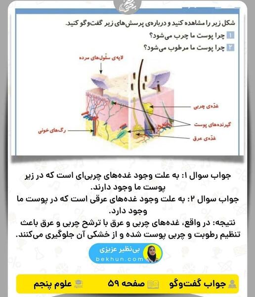 عکس صفحه علوم پنجم