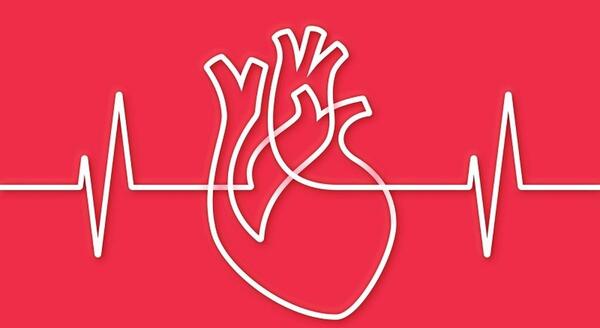 عکس ضربان قلب پرسپولیسی