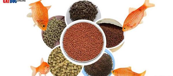 عکس غذای ماهی ایرانی