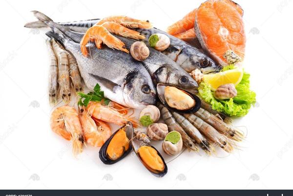 عکس غذای ماهی ایرانی
