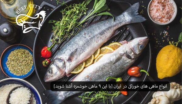 عکس غذای ماهی ایرانی