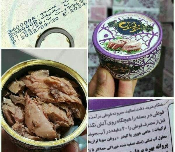 عکس غذای ماهی ایرانی