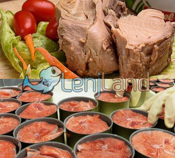 عکس غذای ماهی ایرانی