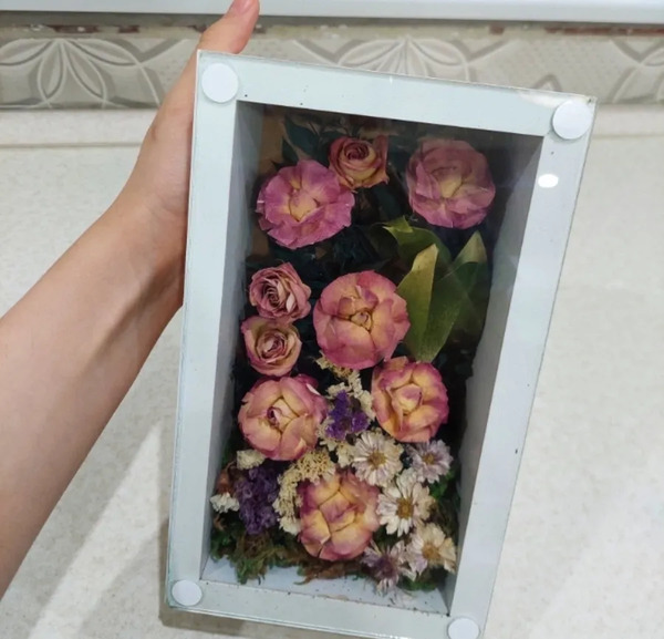 عکس گل رز خشک شده
