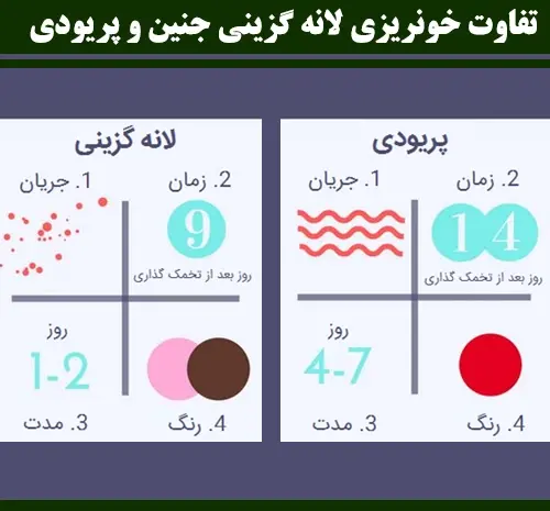 عکس لکه بینی در حاملگی