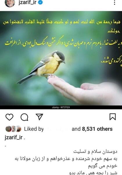 عکسهای قبر مهسا امینی همسر فرهاد ظریف