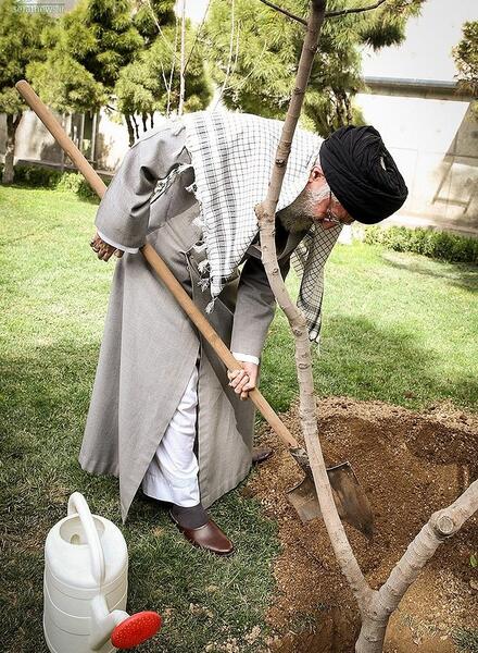 عکس روز درختکاری