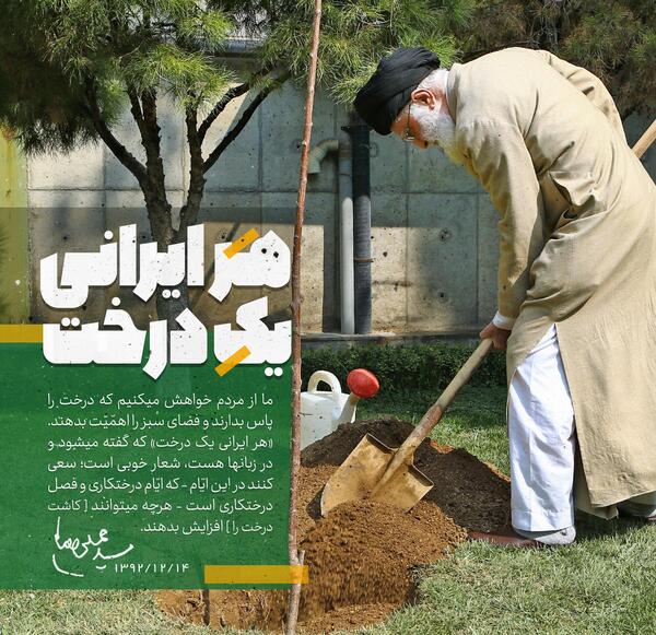 عکس روز درختکاری