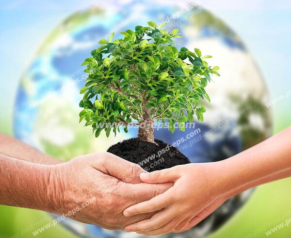 عکس روز درختکاری