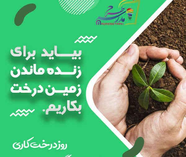 عکس روز درختکاری