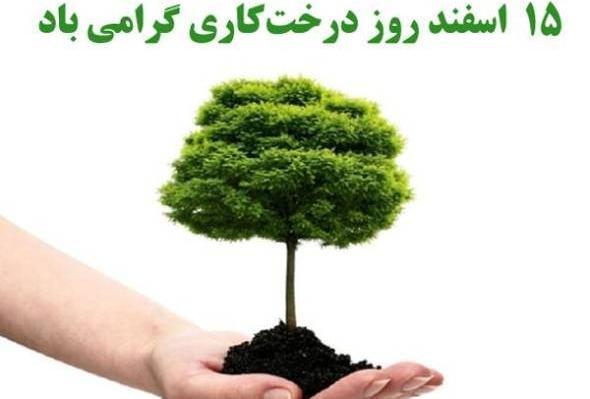 عکس روز درختکاری