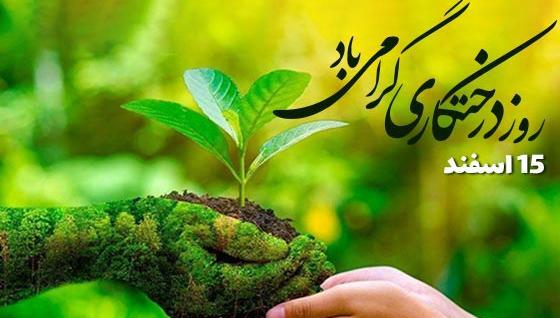 عکس روز درختکاری