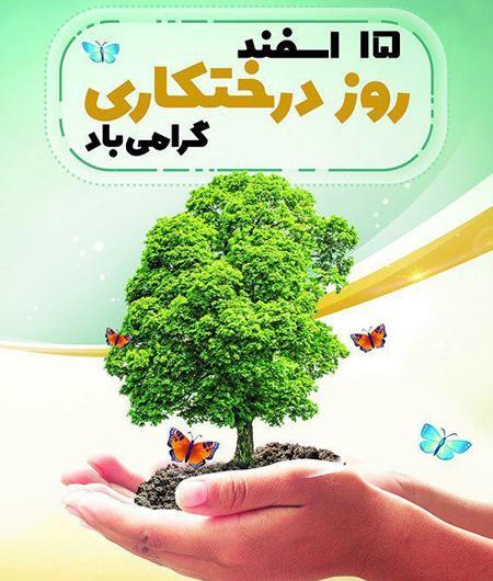 عکس روز درختکاری
