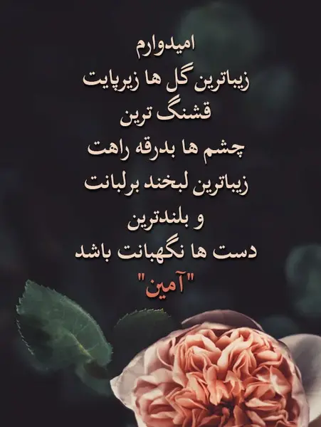 عکس نوشته خاص آرزو