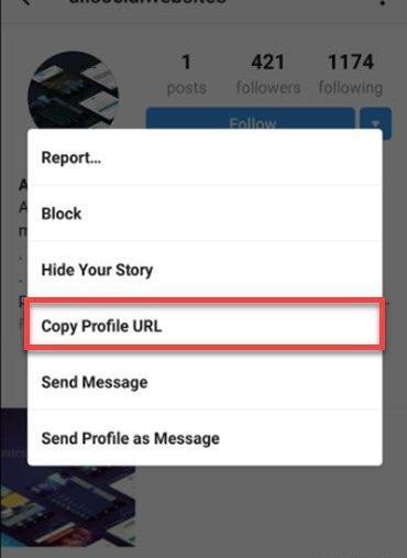 دانلود برنامه ذخیره عکس پروفایل اینستاگرام
