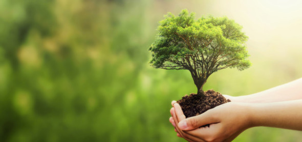 عکس مفهومی از طبیعت