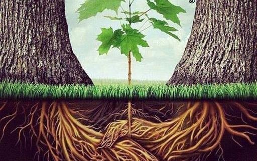 عکس مفهومی از طبیعت
