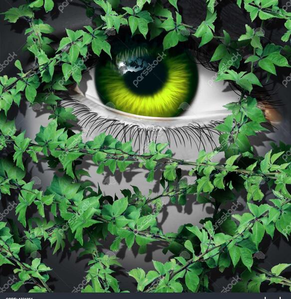 عکس مفهومی از طبیعت