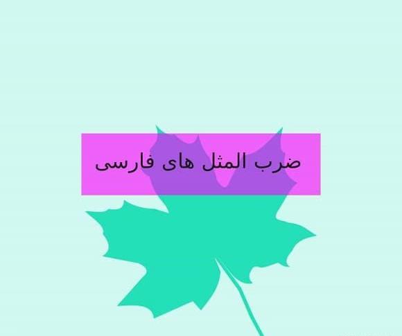 عکس ضرب المثل بچه گانه