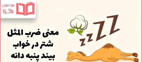 عکس ضرب المثل بچه گانه