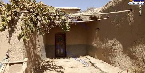 عکس رهبر افغانستان