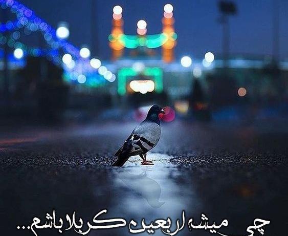 عکس از اربعین کربلا