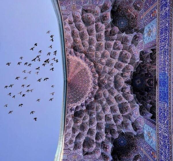 عکس لیسا تاوبیو