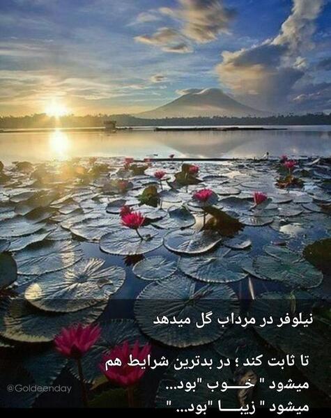 عکس نوشته زیبای زندگی